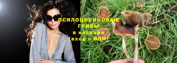 мяу мяу мука Белокуриха